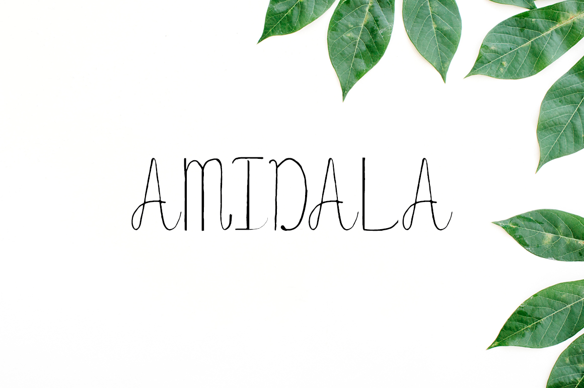 Amidala: The Handwritten Font for Scroll-Stopping Designs