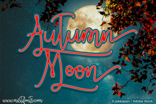 Autumn Moon Font: A Web Designer’s Review