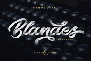 Blandes: A Bold Script Font for Branding