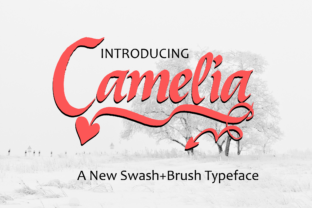 Camelia: The Handwritten Font That Clarifies Campaigns