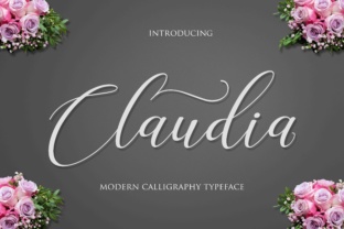 Claudia: A Designer’s Review of Script Amp’s Elegant Typeface