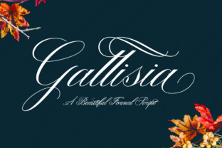 Gallisia Font Review: A Classy Script for Branding