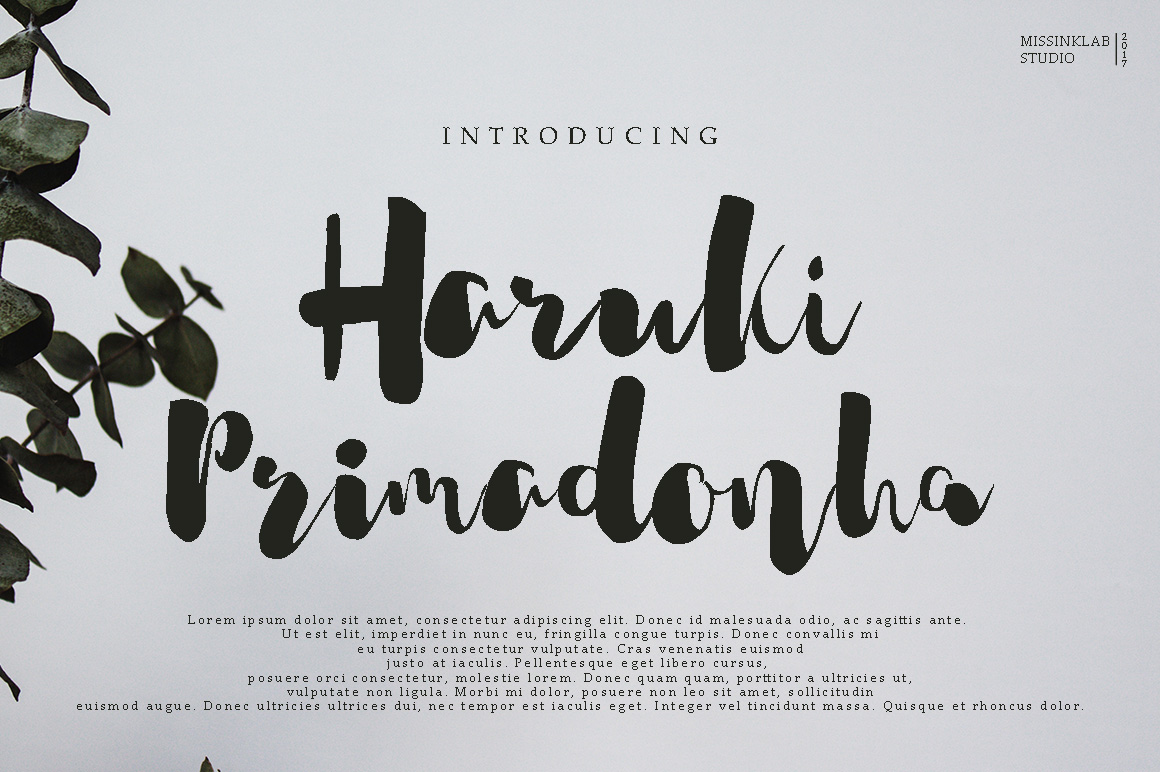 Haruki Primadonha: A Modern Script Font for Branding