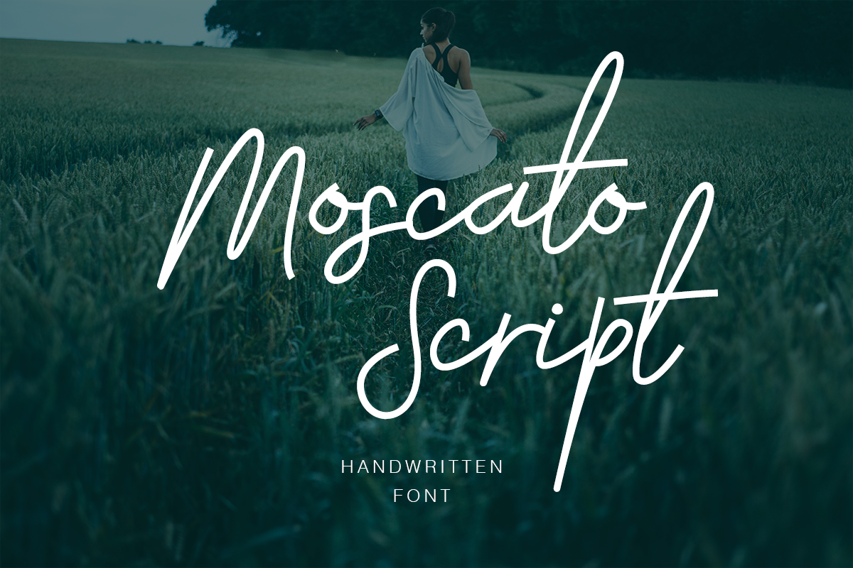 Moscato Font: A Maker’s Guide to Angular Script Style