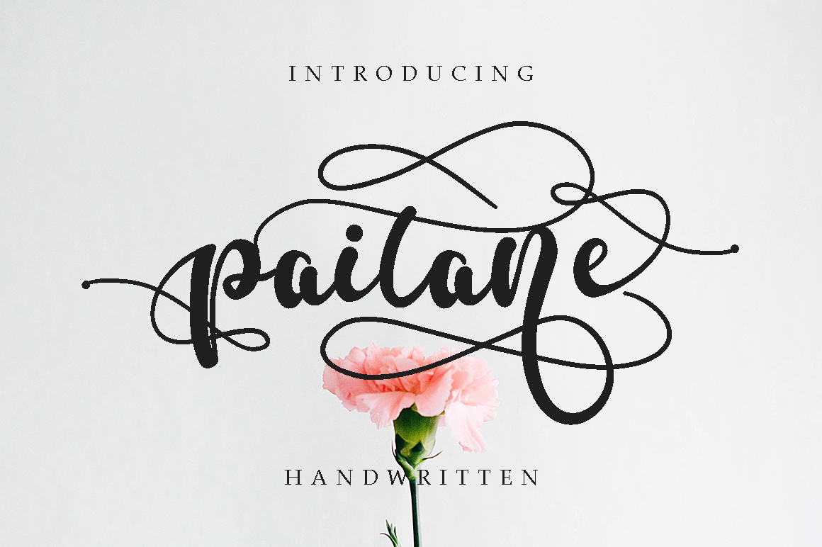 Paitane Font: Elevating Web Design with Modern Script