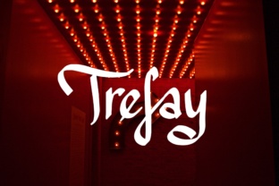 Trefay: A Designer’s Honest Take on Script Amp’s Latest Release