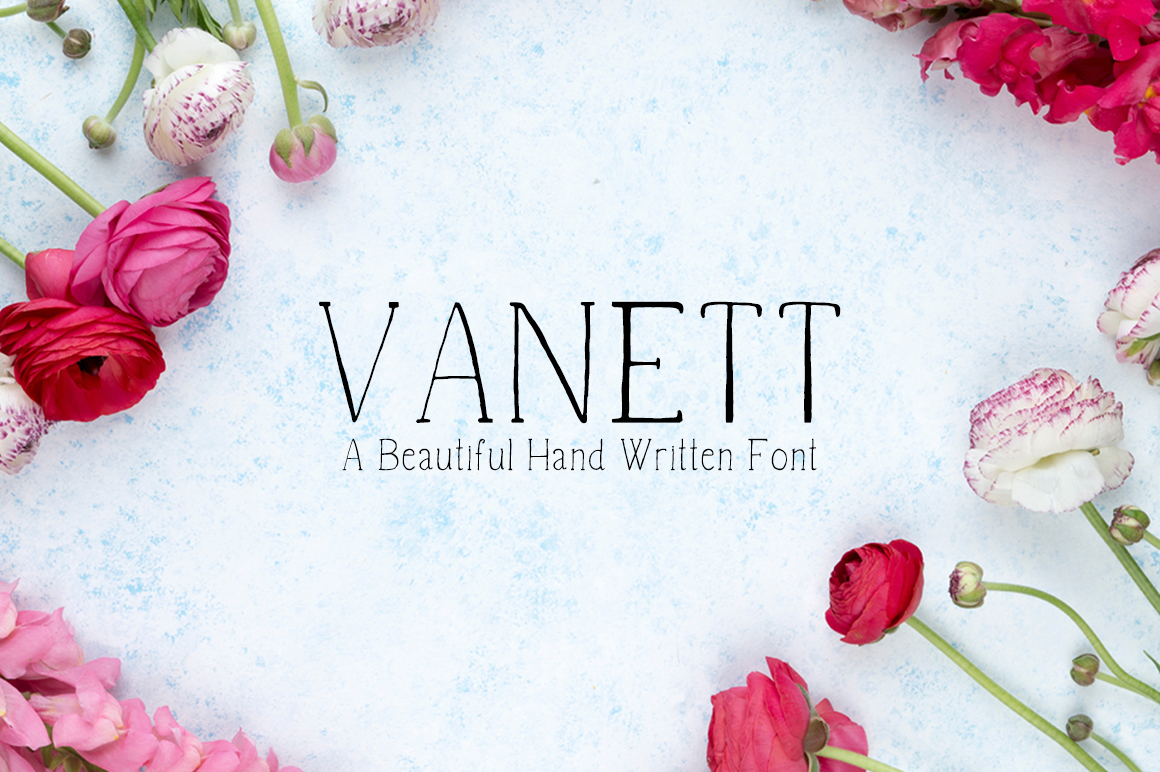 Vanett: A Designer’s Honest Review for Real Branding